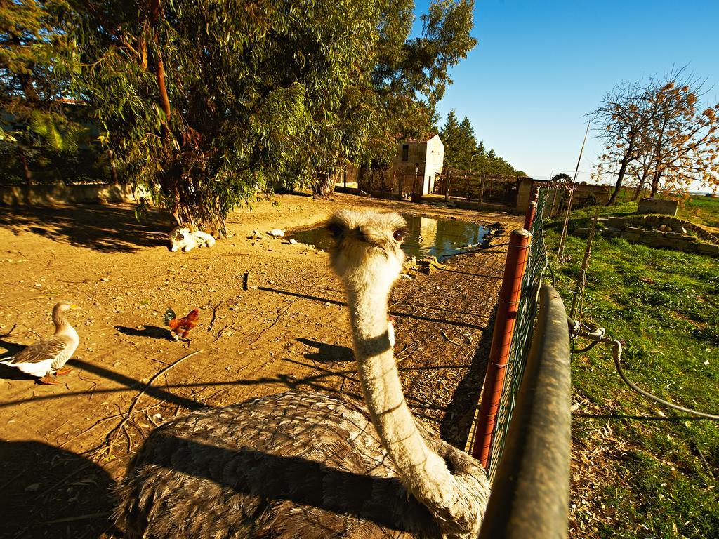 Borgo Valle Rita Marina di Ginosa Extérieur photo